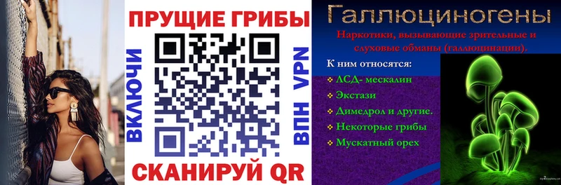 KRAKEN вход  где купить наркотик  Грайворон  Галлюциногенные грибы MAGIC MUSHROOMS 