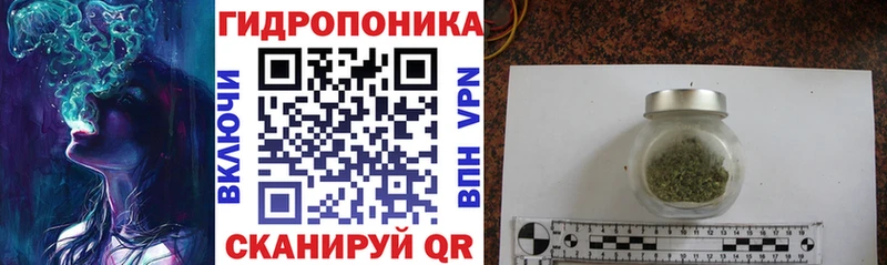 Конопля марихуана  Грайворон 